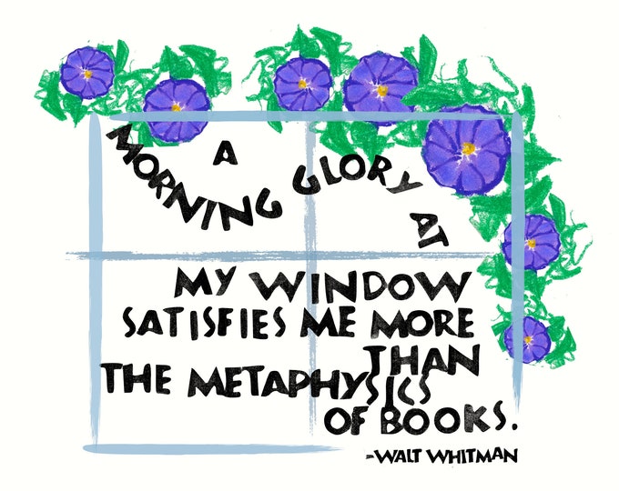 Card A020 Morning Glory -- Walt Whitman