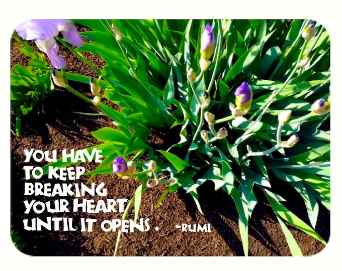 Card Y011 Breaking Your Heart -- Rumi