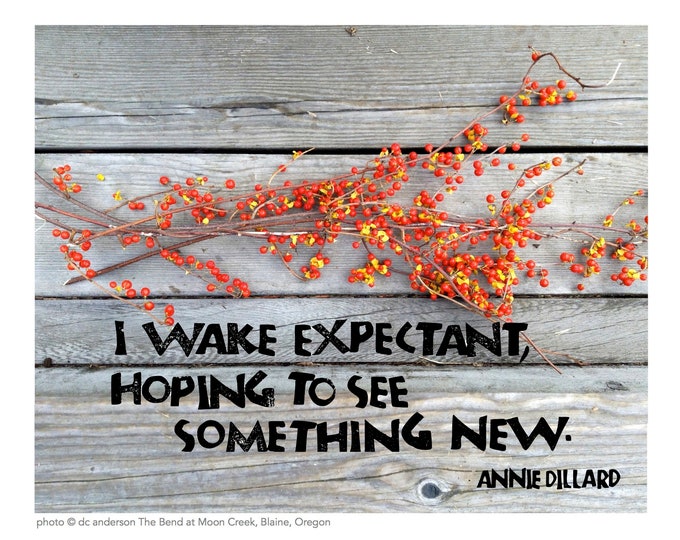 Card I027 I Wake Expectant -- Annie Dillard