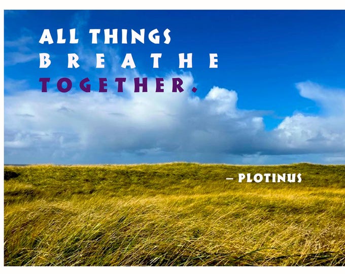 Card A023 All Things Breathe Together -- Plotinus