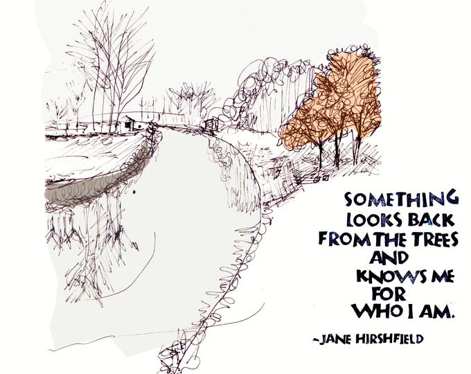 Card S020 Something Looks Back -- Jane Hirshfield