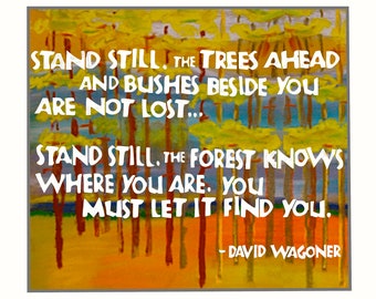 Card S016 Stand Still -- David Wagoner