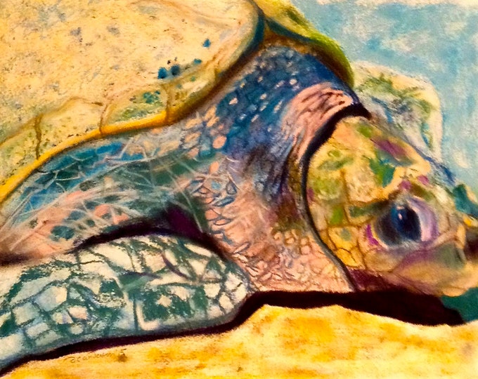 Print P021 Olive Ridley (pastel)