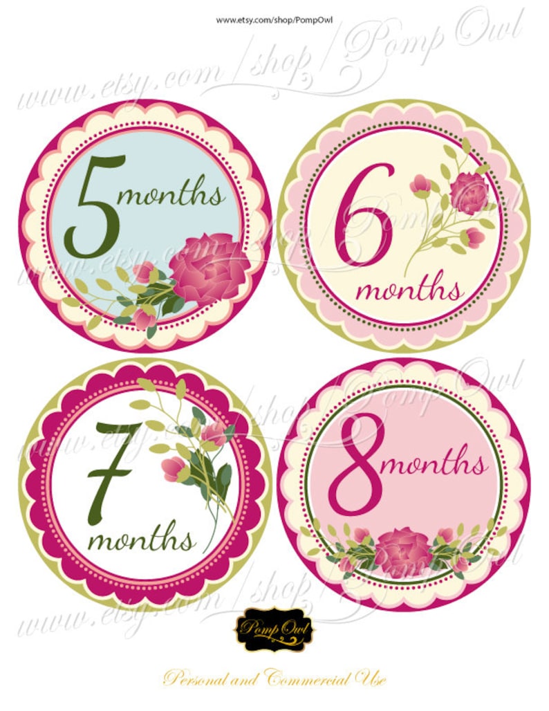 Printable Monthly Baby Girl Stickers Roses Onesie Design | Etsy