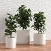 Set of 3 Ceramic Planters - 12, 9 and 6 inch - Matte Finish, Kiln Fired and Hand Glazed - Sturdy and Large Plant Pots for Indoor and Outdoor 