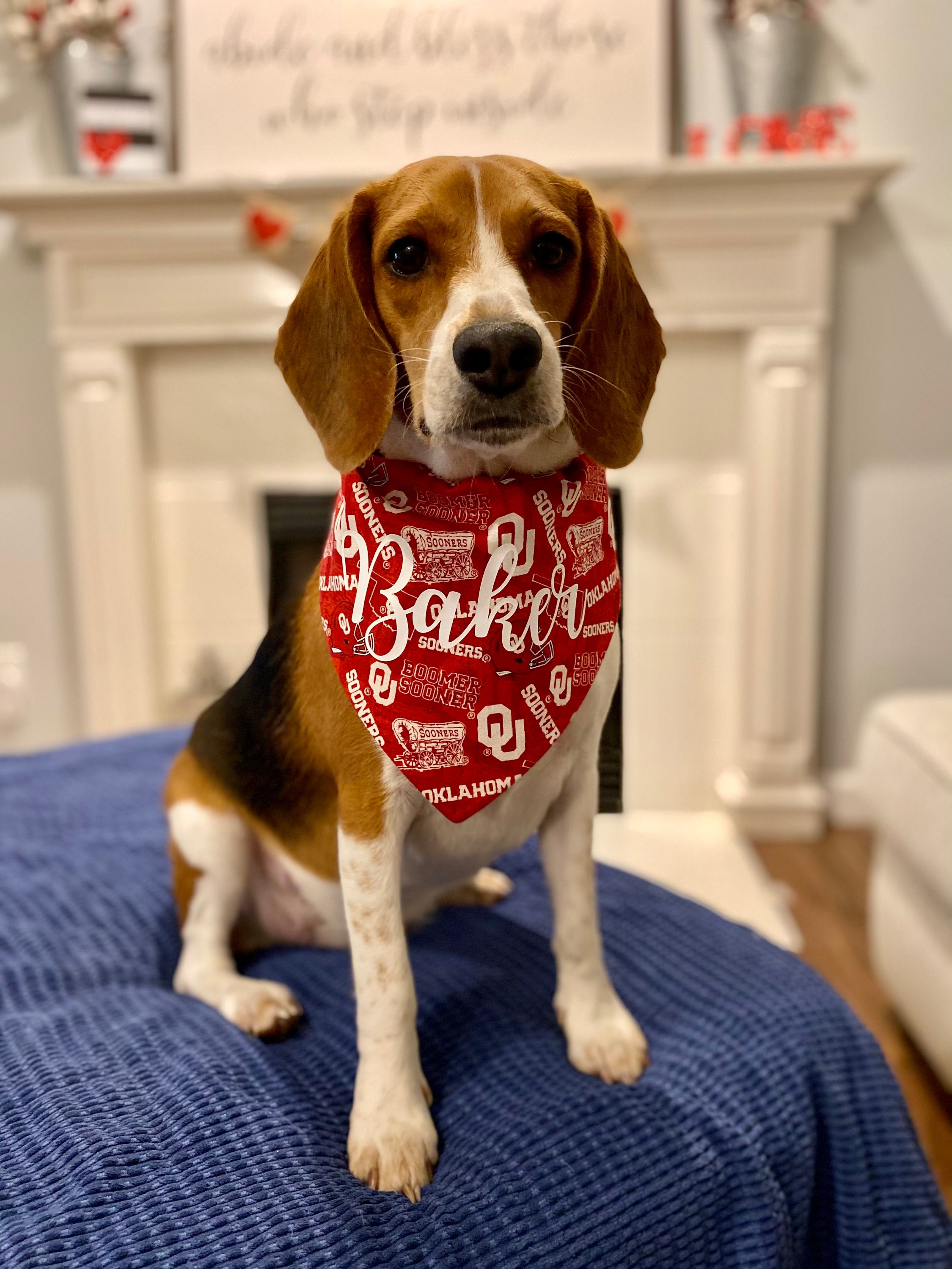 Kentucky - Louisville Red Toss Football — Personalized Dog Bandanas