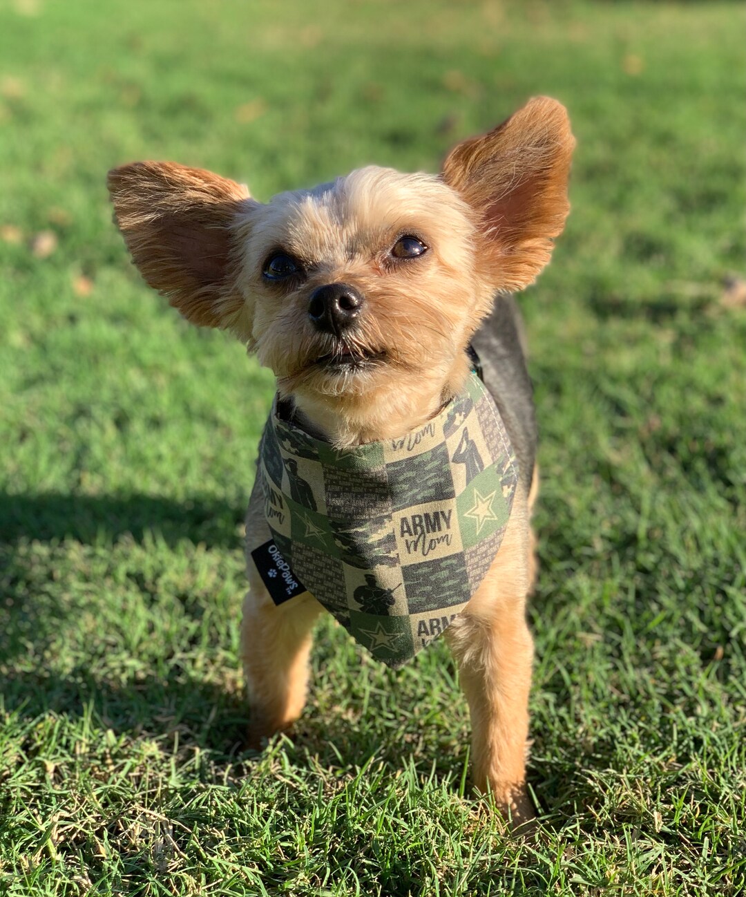 ARMY BANDANA, ARMY Birthday Bandana, Custom Dog Bandana, Celebration