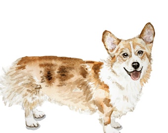 Corgi fine art print print