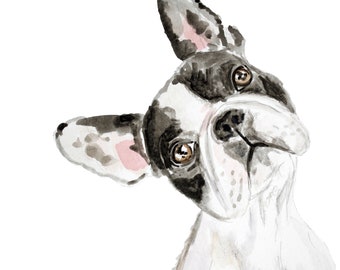 French Bulldog fine art print