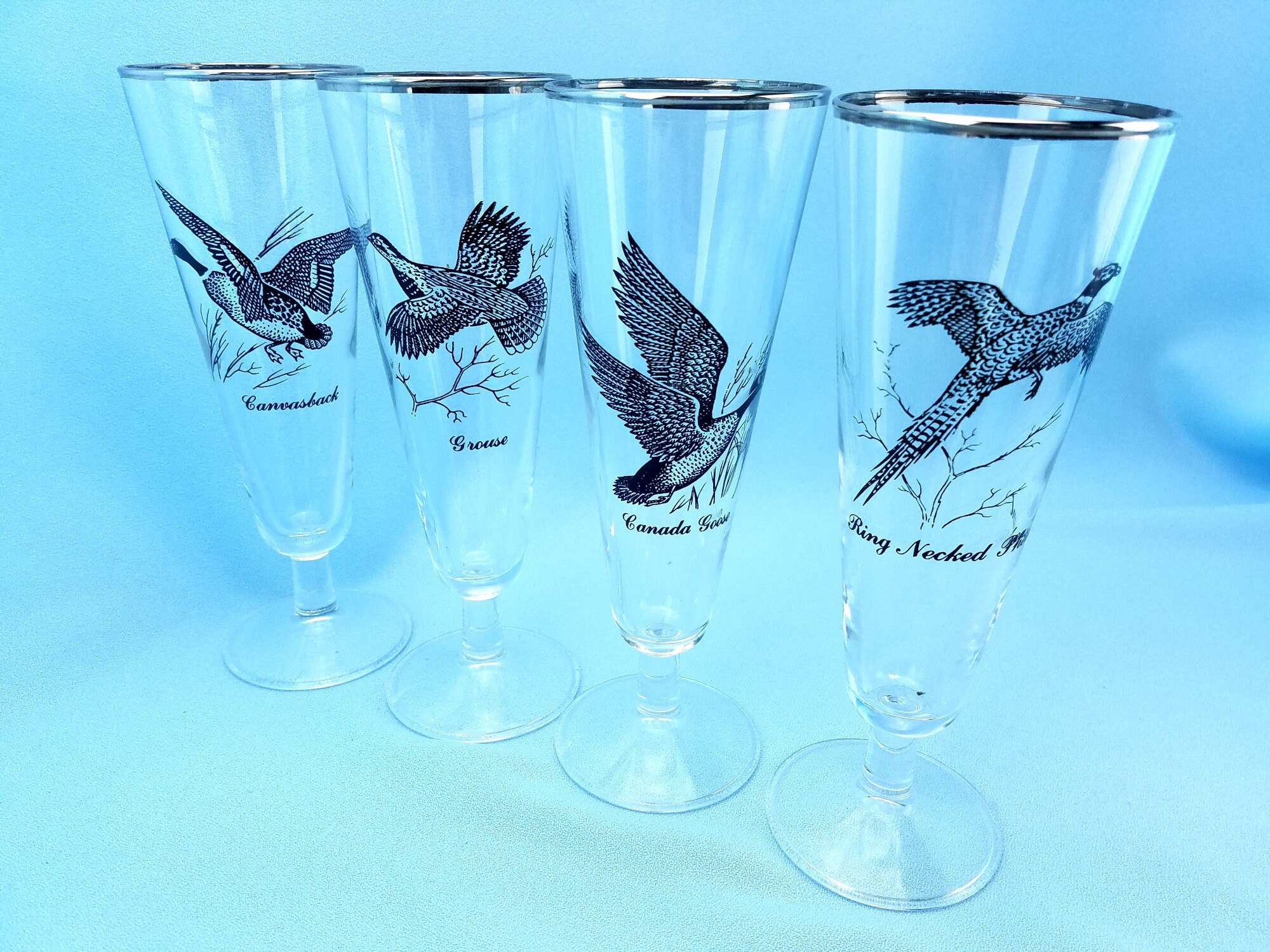 Sportsman Pilsner Drinking Glasses by Federal Glass Set of - Etsy