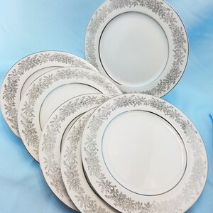 Dinner plates, Set of 6 (SIX)  Brilliant pattern, Fine China, White with Platinum trim,  10 1/4 inch diameter