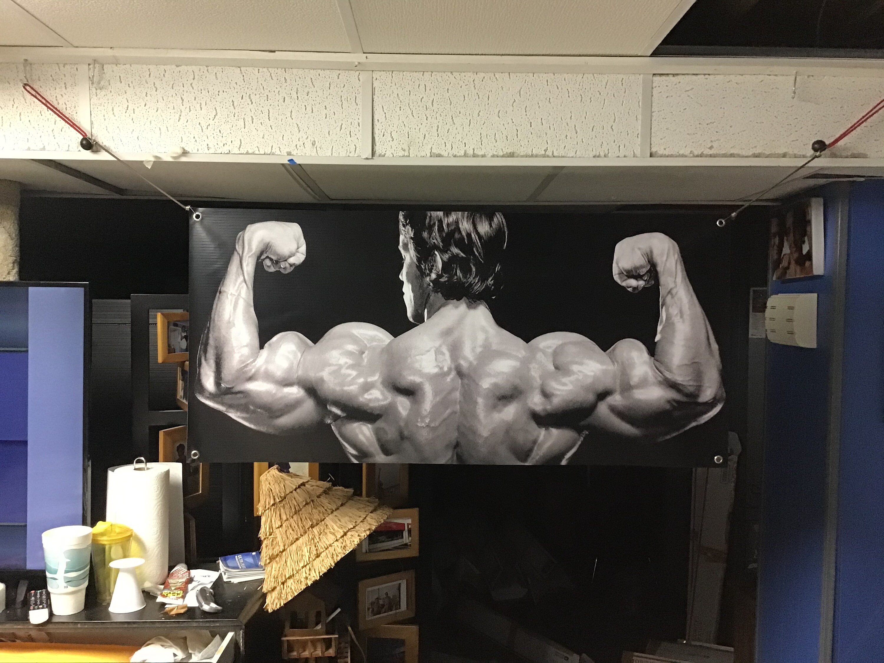 Huge 46x22 Pumping Iron Arnold Schwarzenegger Vinyl Banner Etsy