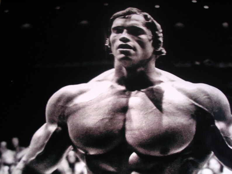 2 Arnold Schwarzenegger Vinyl Banner Poster Bodybuilding Free | Etsy