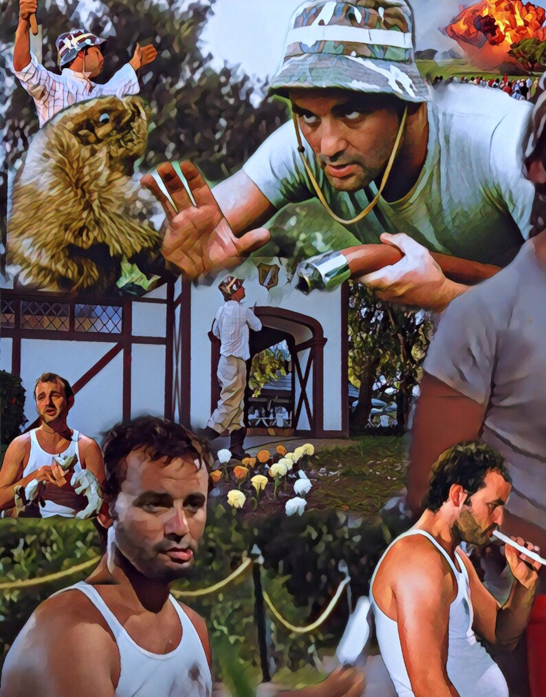 Huge 46x27apx CADDYSHACK Vinyl Banner POSTER Dvd ART Movie Etsy