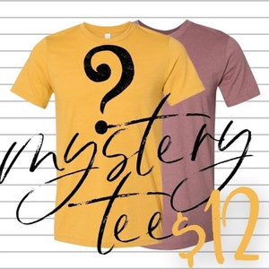 Mystery T-Shirt. Mystery Shirt. You choose your Shirt. Adult Shirt.