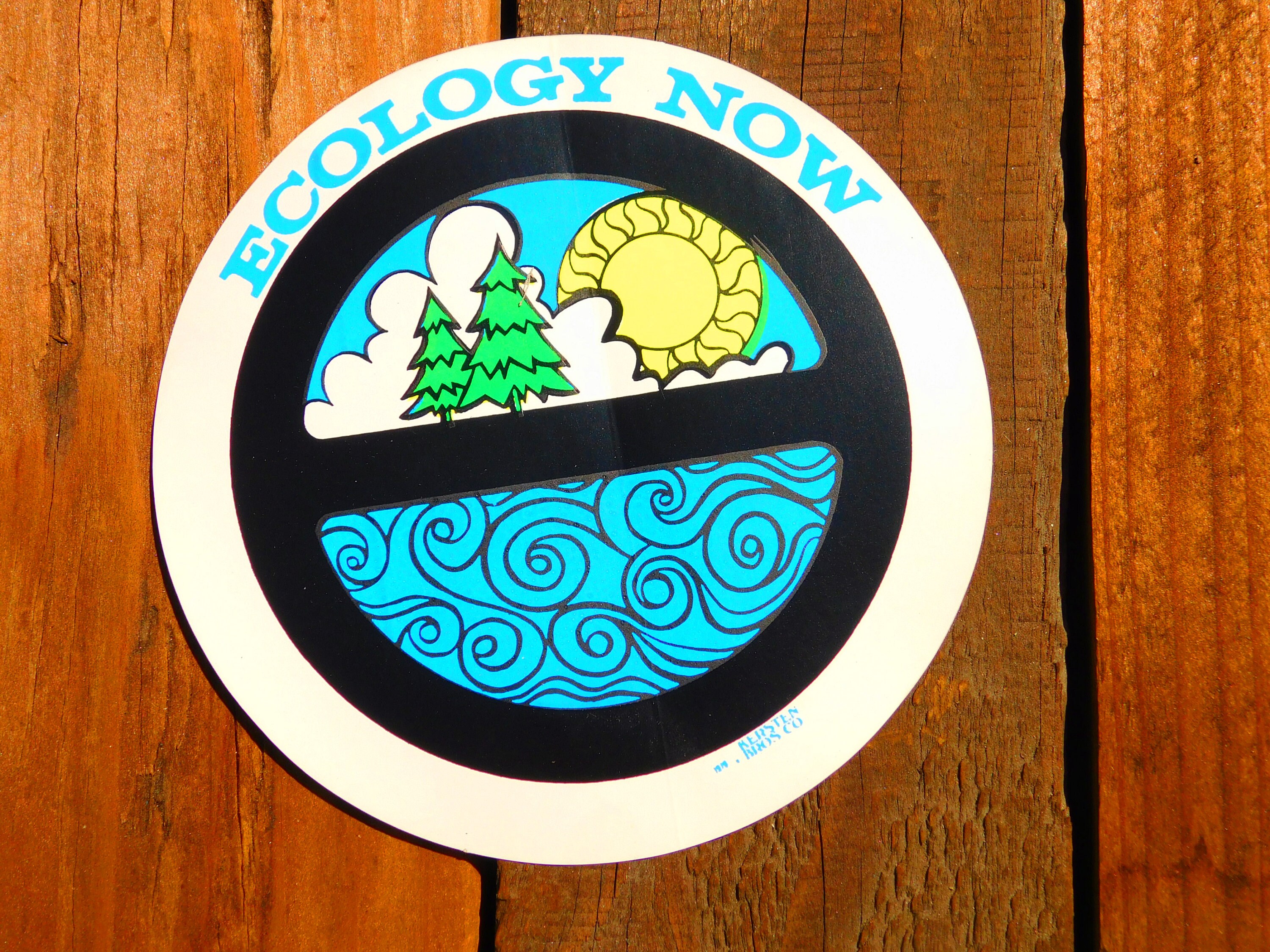 Vintage 70s Ecology Now Sticker
