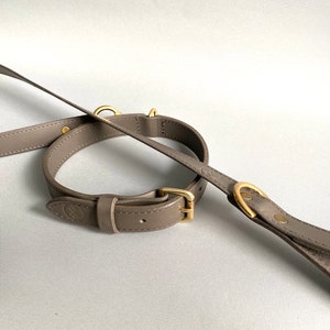 Pet Collar & Leash Sets