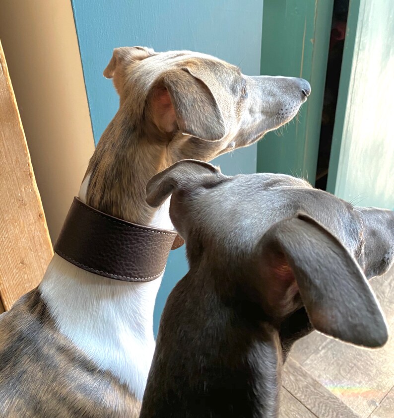 Luxury Leather Small Dog Lead Thin Dog Leash Whippet Dog Etsy UK