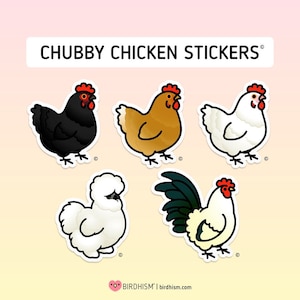 Chubby Chicken Stickers [Outdoor Quality]