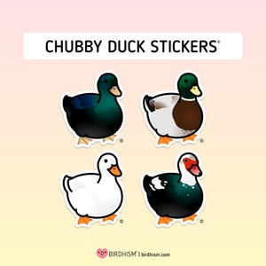 Chubby Duck Stickers [Outdoor Quality]