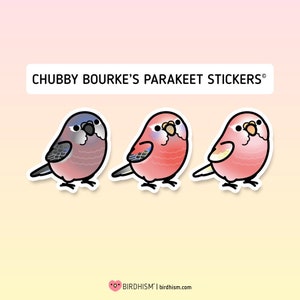 Chubby Bourke's Parakeet Stickers [Outdoor Quality]