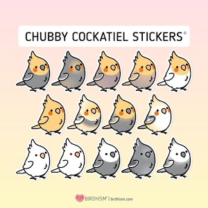 Chubby Cockatiel 3.5" Sticker [Outdoor Quality]