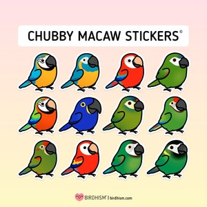 Chubby Macaw 3.5" Sticker [Outdoor Quality]