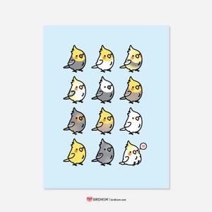 Cockatiel Collection Print image 1