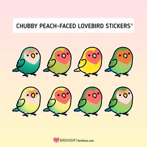 Chubby Peach-faced Lovebird Stickers [Outdoor Quality]