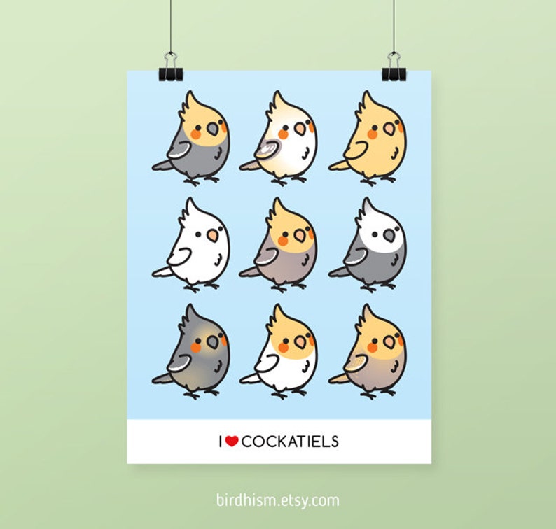 Cockatiel Collection Print image 2