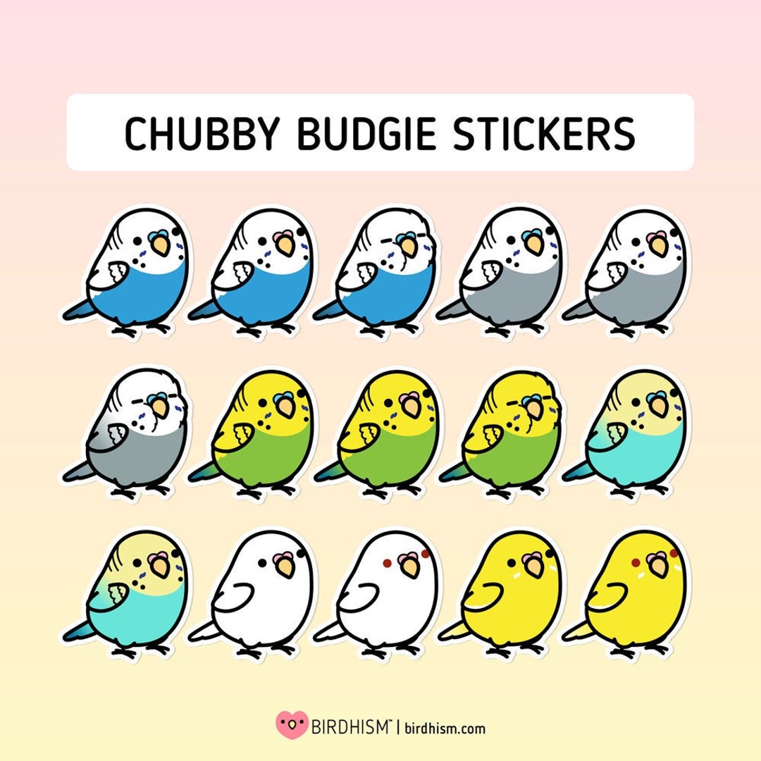 Custom Chubby Bird Sticker Package