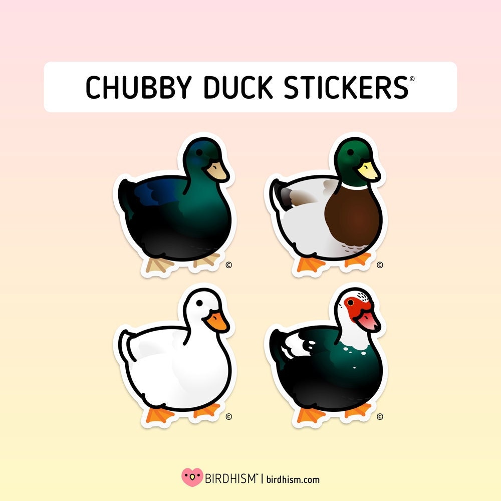 Chubby Duck Stickers outdoor Quality - Etsy Finland