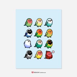 Lovebird Collection Print