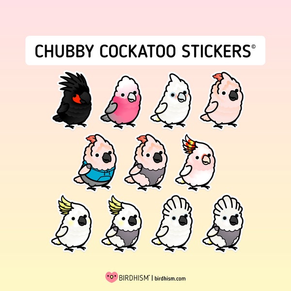 Chubby Cockatoo 3.5" Stickers