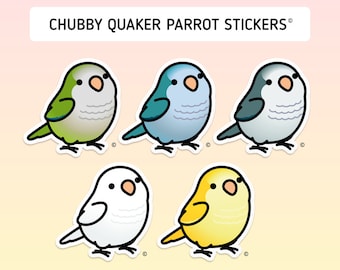 Chubby Quaker Parrot Stickers [Outdoor Quality]