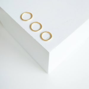 1 Tiny Hoop Earring, Small Seamless Hoop Earring, Rose Gold Nose Hoop, Silver Cartilage Hoops, Gold Cartilage Earring
