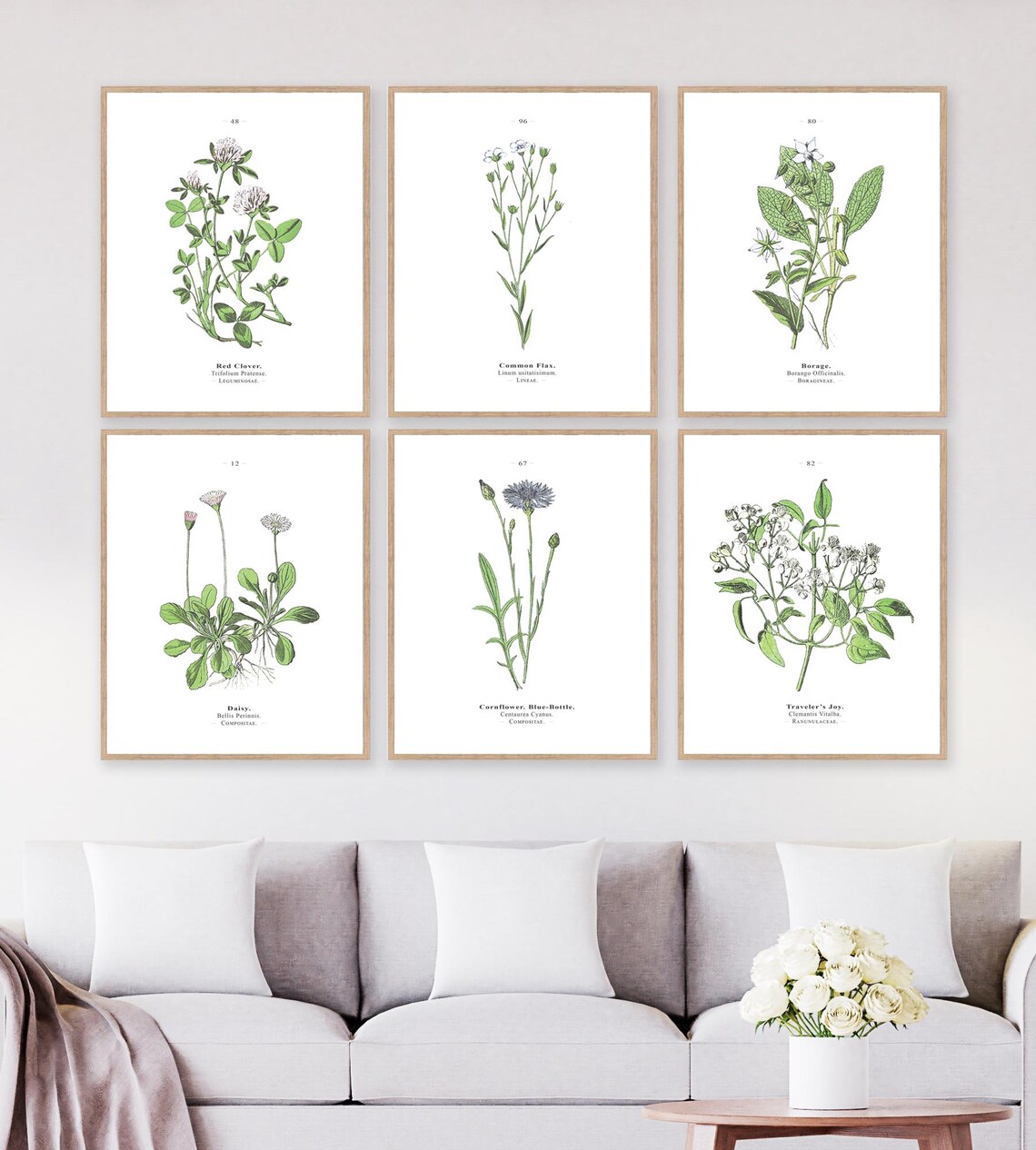 Set of 6 Botanical Prints Wall Art Download, Vintage Scientific ...