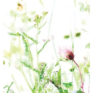 May include: A watercolor painting of a field of wildflowers with a pink flower in the foreground. The flowers are painted in a soft, delicate style, with a white background.