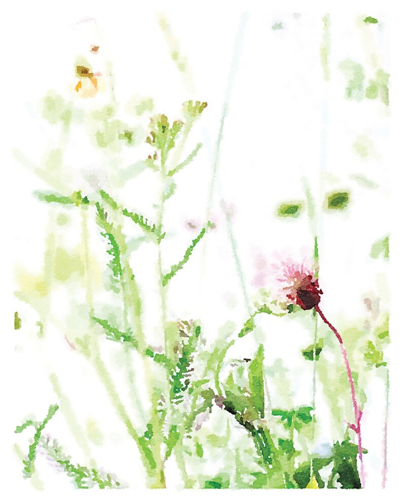 May include: A watercolor painting of a field of wildflowers with a pink flower in the foreground. The flowers are painted in a soft, delicate style, with a white background.