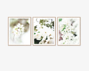 Conjunto de 3 impresiones artísticas de pared con flores botánicas neutras en blanco y negro, descarga digital de acuarela, decoración floral, fotografías de 5x7, 8x10 y 11x14