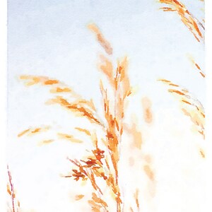 May include: A watercolor painting of tall, thin, golden brown grass stalks against a light blue background.