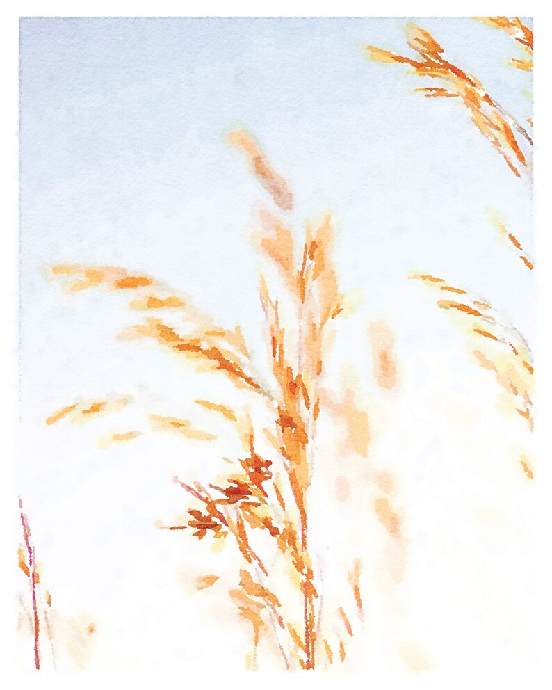 May include: A watercolor painting of tall, thin, golden brown grass stalks against a light blue background.