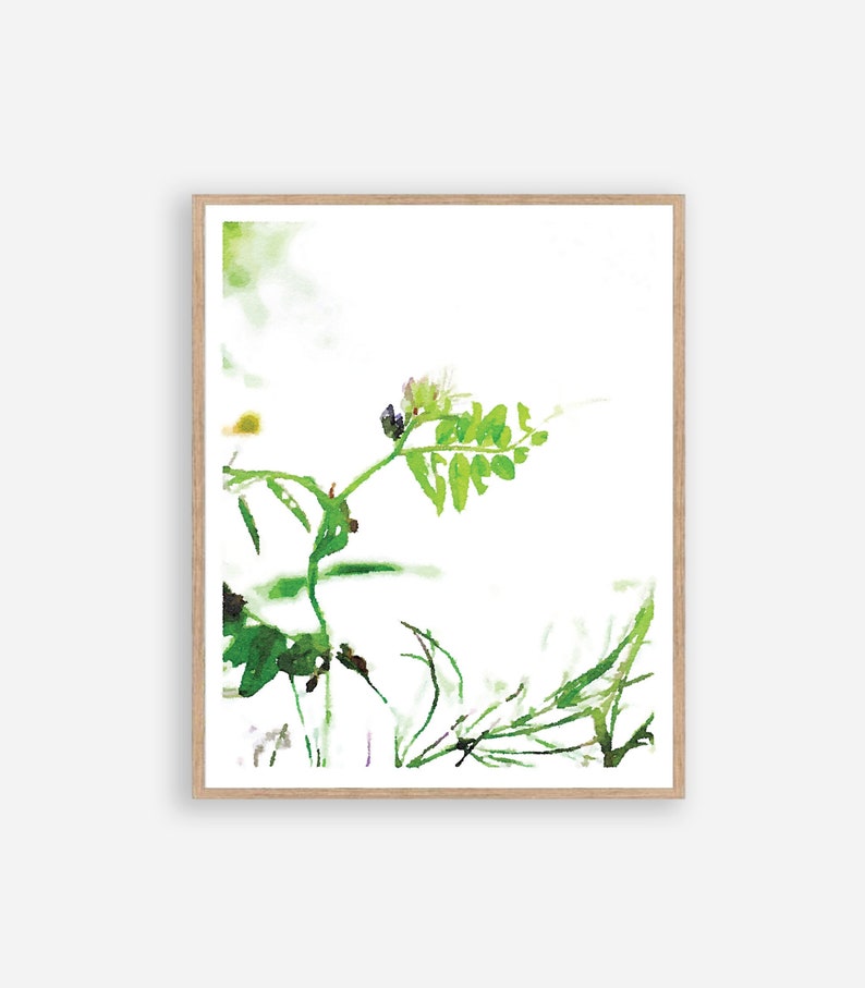 Minimalist Spa Decor Nature Photography 16x20 18x24 Neutral Botanical Print Wildflowers Sweet Pea Watercolor Wall Art Digital Download