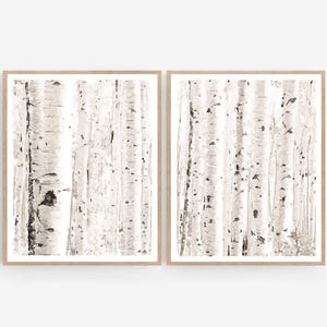Set of 2 Botanical Birch Trees Prints Digital Download Watercolor Wall Art Sepia Neutral Photography Painting Rustic Abstract 5x7 8x10 11x14