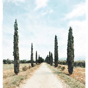 Italien Druck Zypresse Landschaft Malerei Wand Kunst Digital Download, Neutral Fotografie San Quirico d'Orcia 5x7, 8x10, 11x14, 16x20, 18x24 Bild 2