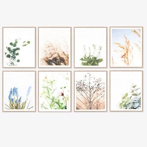 May include: Set of eight botanical prints featuring various plants and flowers in muted tones. The prints are framed in a simple, light wood frame.