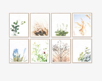 Set of 8 Botanical Prints, Eucalyptus, Wheat, White Flowers, Grass, Blue Hyacinth, Wildflowers, Branches, Neutral Wall Art 8x10 11x14 inches