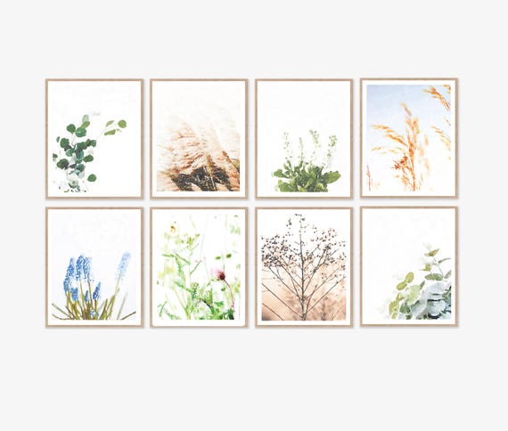Set of 8 Botanical Prints, Eucalyptus, Wheat, White Flowers, Grass, Blue Hyacinth, Wildflowers, Branches, Neutral Wall Art 8x10 11x14 inches