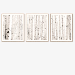 May include: A set of three framed prints featuring a black and white abstract image of birch trees. The prints are in a minimalist style and would look great in a modern home.