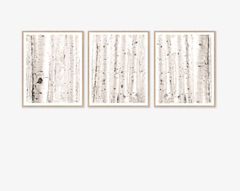 Birch Trees Watercolor Paintings Gallery Wall Art Set of 3 Download Printable Art, Black White Abstract Nature Neutral Prints 5x7 8x10 11x14